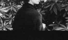 h视频日本,h视频带你领略异国魅力